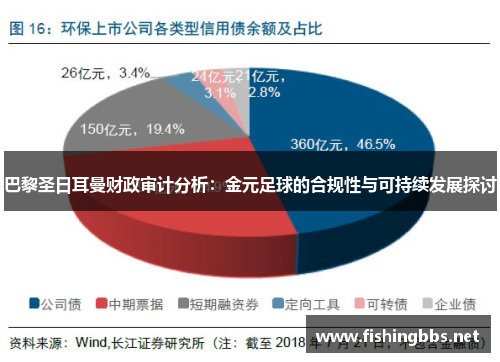 巴黎圣日耳曼财政审计分析：金元足球的合规性与可持续发展探讨